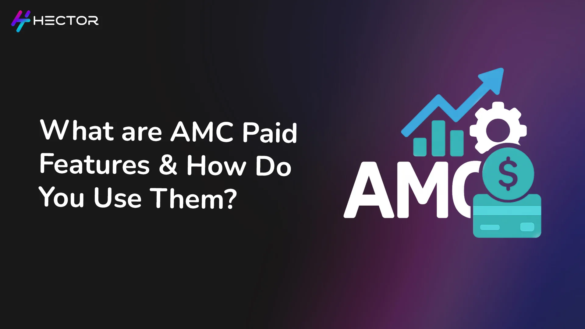 What are AMC Paid Features & How Do You Use Them?